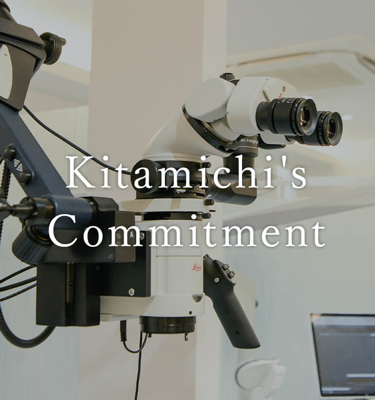 Kitamichi's Commitment