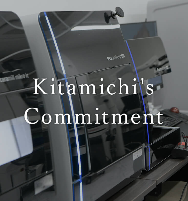 Kitamichi's Commitment